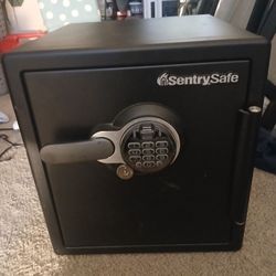 Sentrysafe Digital Fire/water Safe