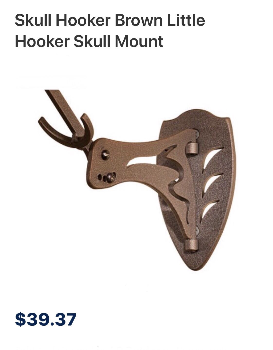 Skull Hooker Brown Little Hooker Skull Mount