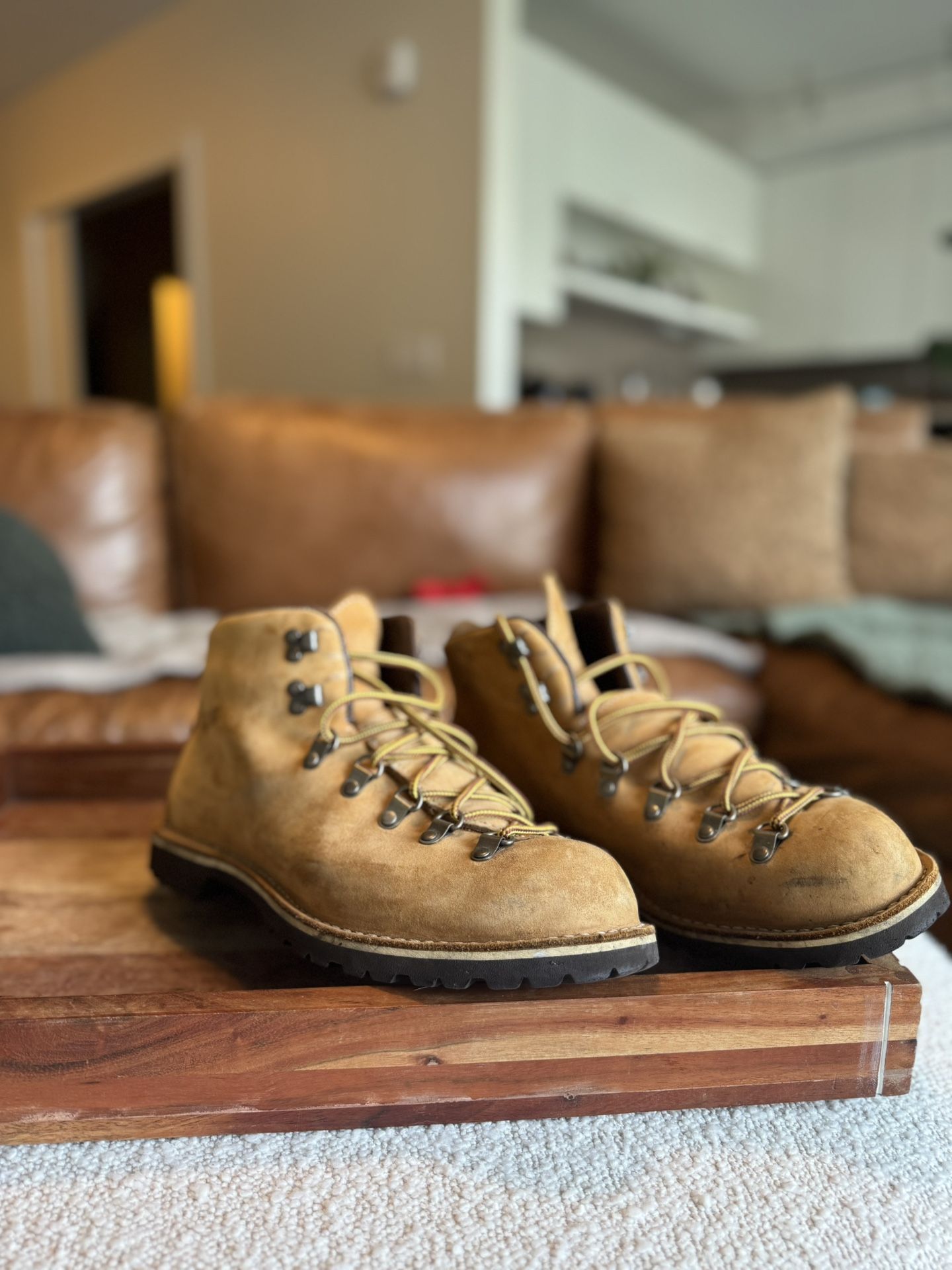 Danner Mountain Light Boots - Men’s Size 10