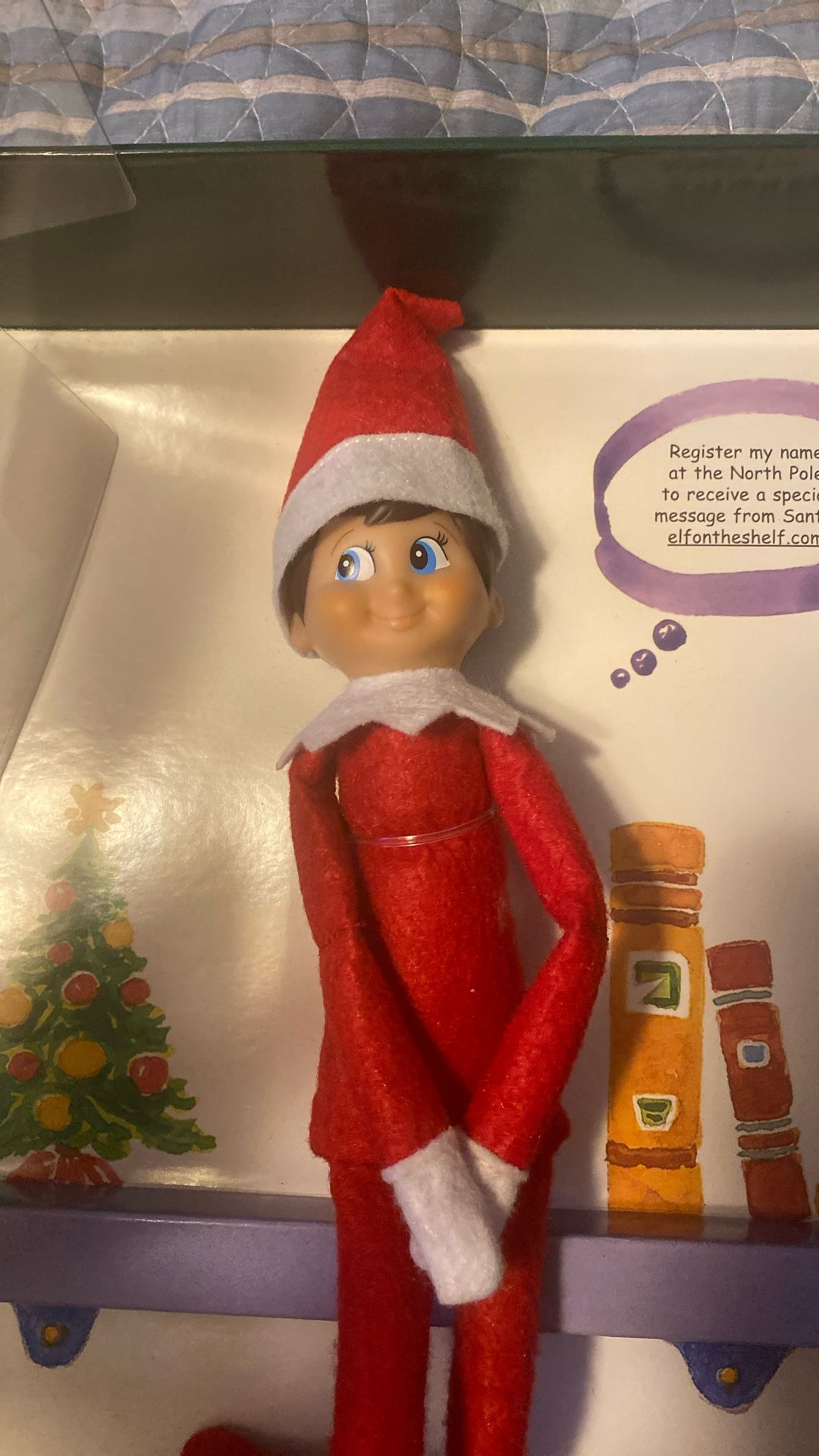 Elf On The Shelf