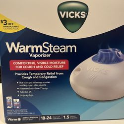 Warm Steam Vaporizer