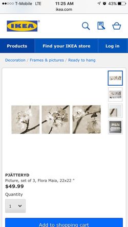 Cherry blossom pictures