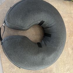 Large Dog cone/E-collar
