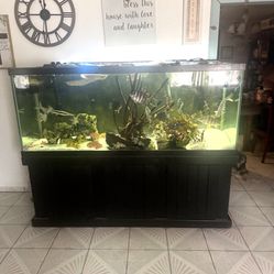 225 Gallons Fish Tank Aquarium 