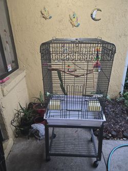 Bird Cage