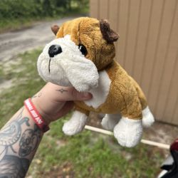 Bulldog Webkinz