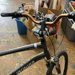 Specialized Expedition Sport Bike