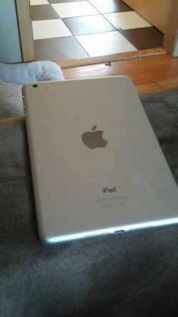 Ipad mini(read)