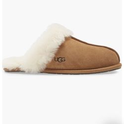 Ugg Slippers 