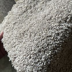 Tan Light Gray Carpet