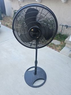 Black oscillating fan