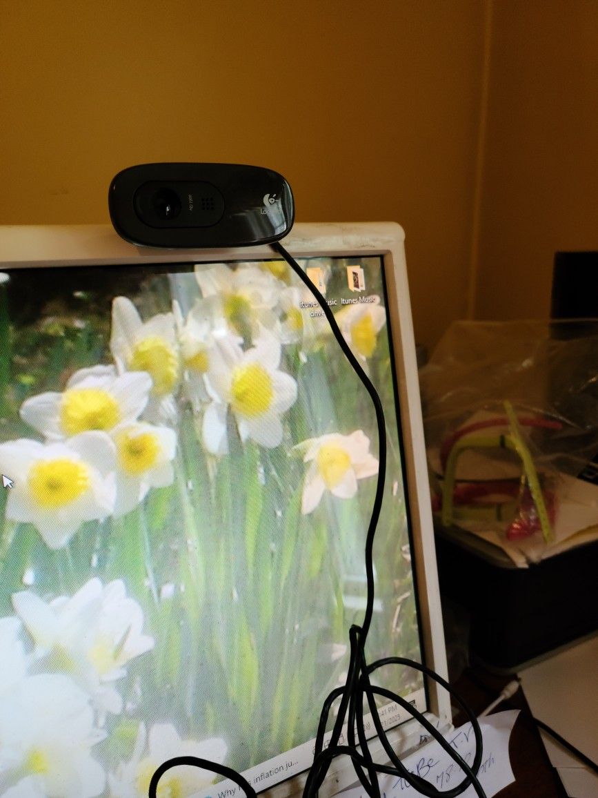 Logitech Web Cam