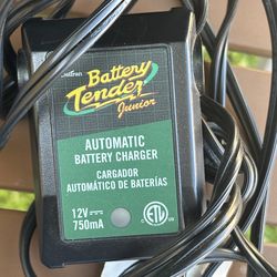 Battery tender junior