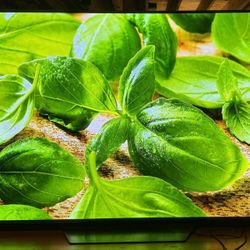LG 65 Inch OLED B3 Series TV - 120hz - LIKE NEW