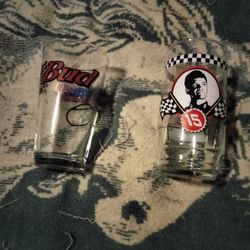 NASCAR Glasses