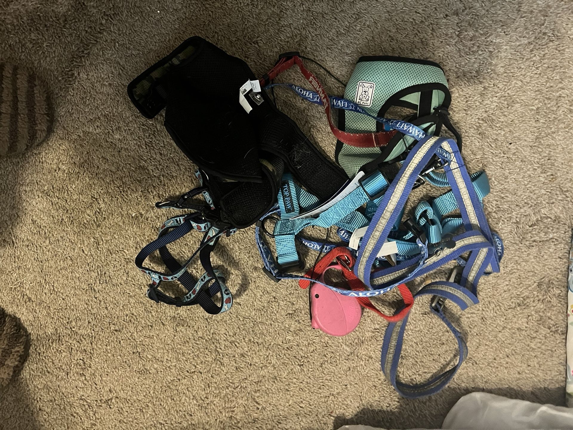 Free Dog Collars 
