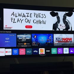 Lg 65 Oled Cx
