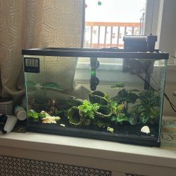 10 Gallon Fish Tank 