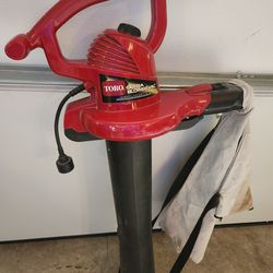 Leaf Blower Vacuum.