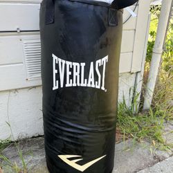 Everlast Punching Bag With Stand