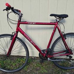 Trek 7.2fx Hybrid Bike X-large Frame 25" Inches 