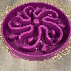 Slow feeder Dog Bowl