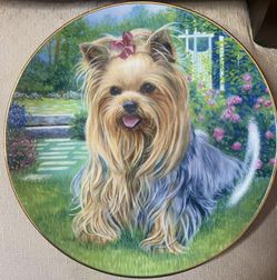 Collectible Plate With Certificate With Authorization