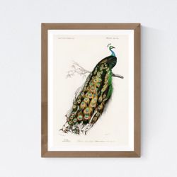 Vintage Flamingo Fine Art Print 