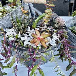 Mothers Day/ Mothers Day Gifts/ Mother’s Day Succulents/Succulent Arrangement 