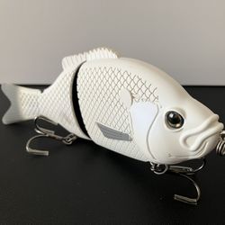 Baitsanity | Explorer Gill 6