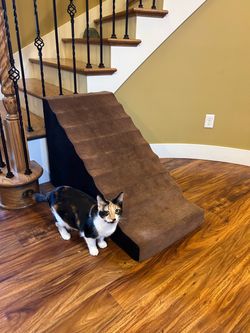 Pet Ramp for bed