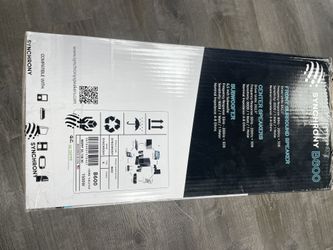 Synchrony B600 sound System