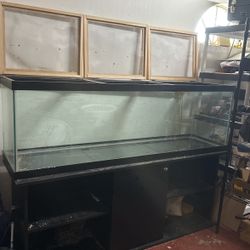 175 Gallon Tank
