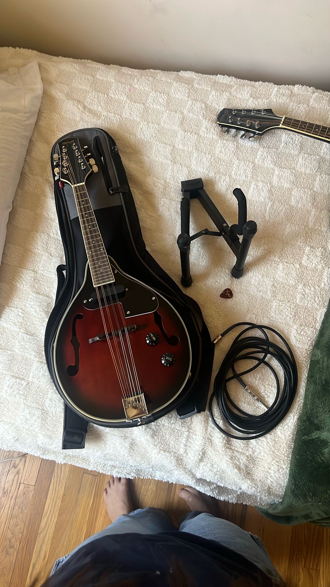 Electric mandolin