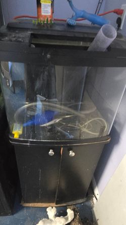 Used 29 gallon bio salt or fresh fish tanl