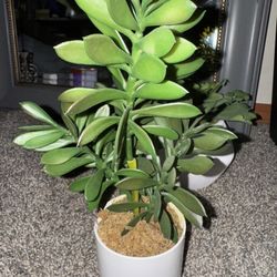 Fake Plant 