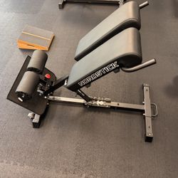 Nordstick Nordic Curl Back Extension Machine