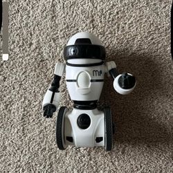 MIP Robot