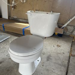 Toilet Bowl