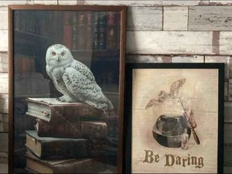 Harry Potter Wall Decor both for $15