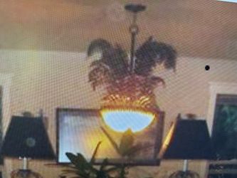 Beautiful Palm Chandelier
