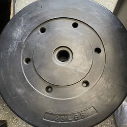 4 20lb  Weights 