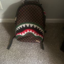 Spray Ground Backpack