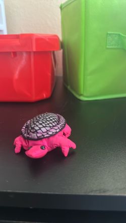 Small toy turtle
