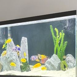 180 Gallon Fishtank With A Stand And Lights 