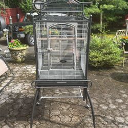 Bird Cage