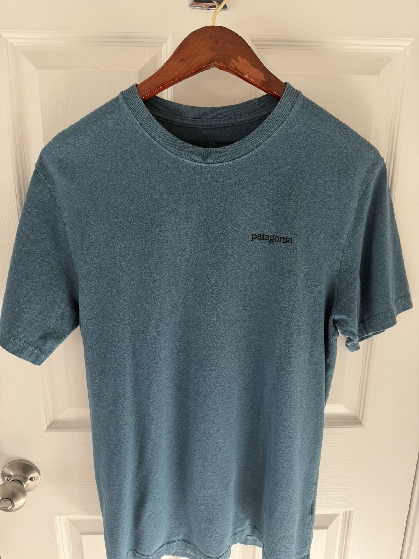 Patagonia Men's Teal Short Sleeve Tee