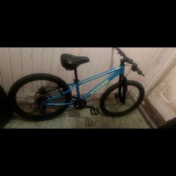 Schwinn Bike Cruiser 