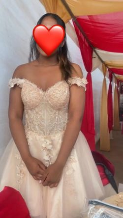 Elegant Champagne Lace Corset Dress