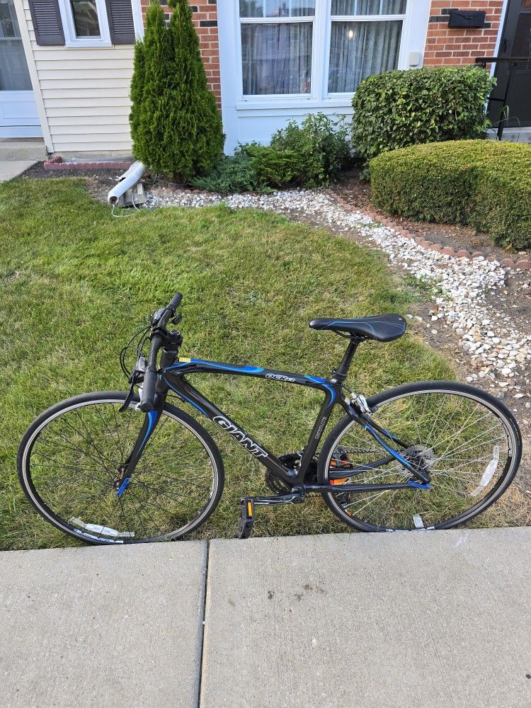 Full Carbon Fiber Gaint OCR C2